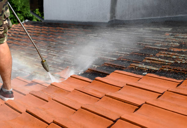 Professional Pressure Washing in Owens Cross Roads, AL